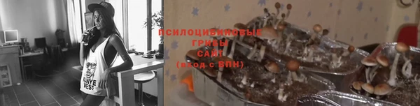 ECSTASY Балабаново