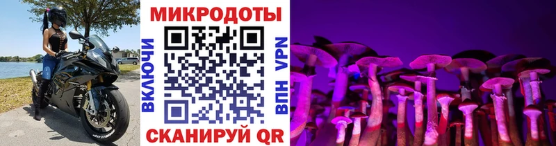 даркнет наркотические препараты  Красноперекопск  Псилоцибиновые грибы ЛСД  кракен вход 